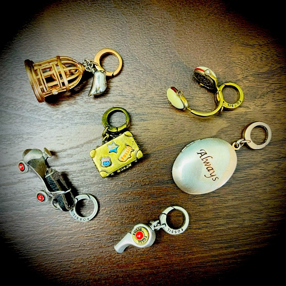Fossil Charms